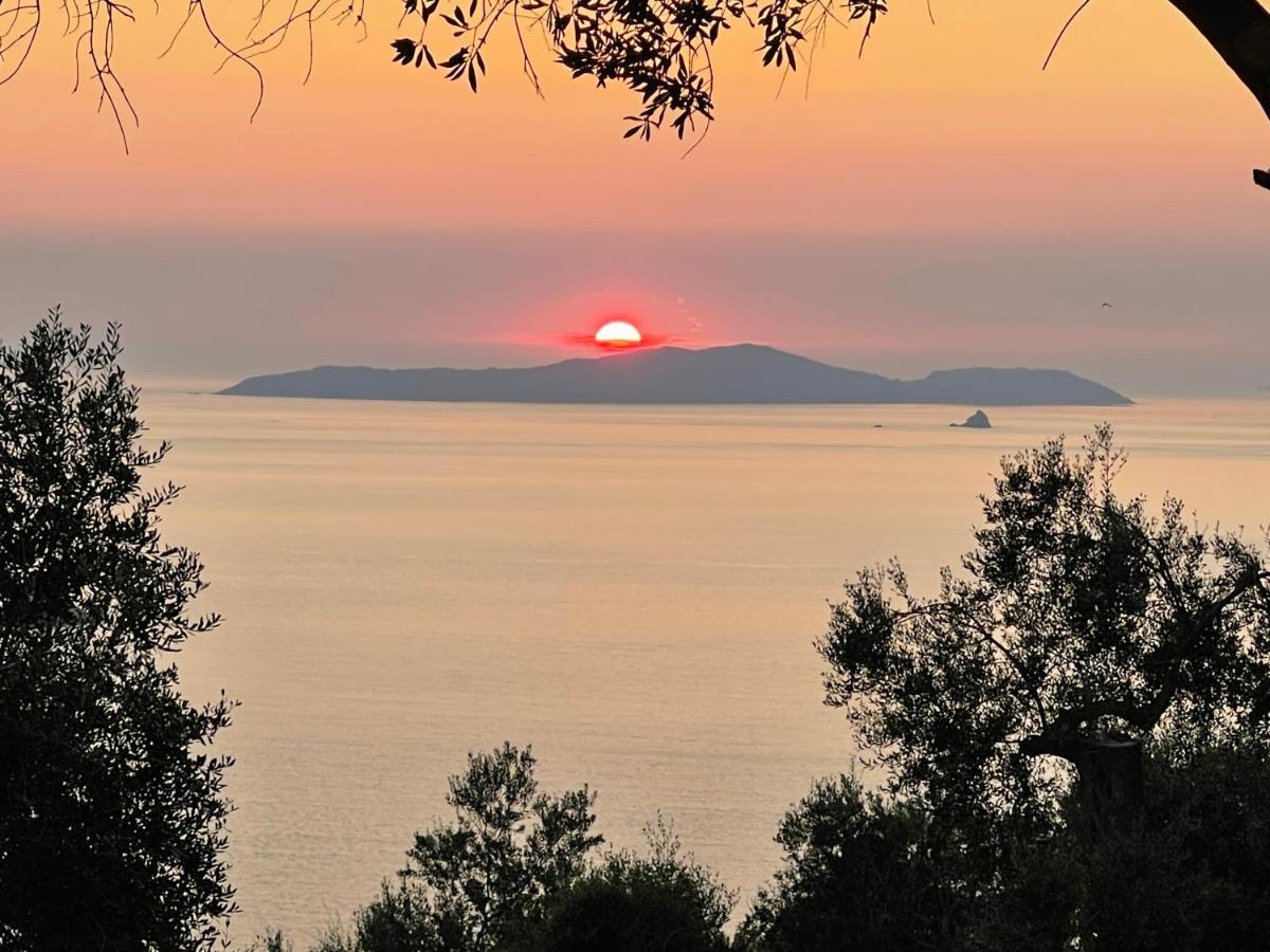 Arillas Hillside Villa 3 - Provence Zewnętrze zdjęcie